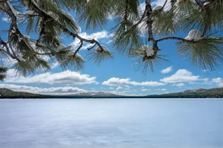 公交车里的蝴蝶